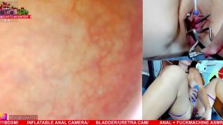 MILF porn Kitten Mathema Kitten @mathema-kitten - OnlyFans #400-1