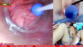 MILF porn Kitten Mathema Kitten @mathema-kitten - OnlyFans #400-2