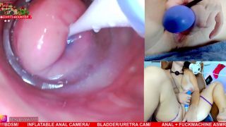 MILF porn Kitten Mathema Kitten @mathema-kitten - OnlyFans #400-3