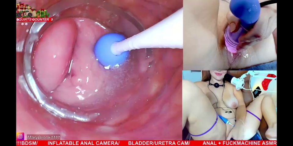 MILF porn Kitten Mathema Kitten @mathema-kitten - OnlyFans #400