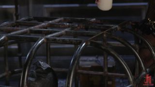Olive Glass Unleashes Her Perfect Cunt Onto Captive Meat - Olive Glass-3