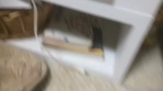 Porn online digi-tents porn 87 – 15295452-4