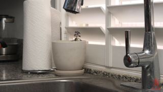 online porn clip 9 boy blowjob Jesse Pony - Jesse Pony Is Fucked Into Submission [SD 1000.4 MB], bondage on femdom porn-1