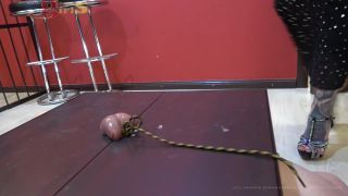 Miss Jane and Lady Chantal - Full weight ball and cock stomping*-9