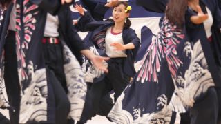 Performance 66 - t-PI011511 | voyeur | voyeur -6