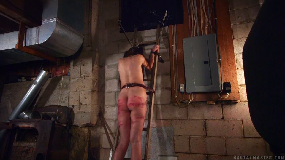 clip 3 Dog - Crouching Dog Hidden Slut - New BDSM VIP Porn on bdsm porn mature bdsm orgasm