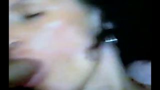 Amateur Blowjob 2382-6
