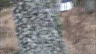 Lost And Trapped In The Woods Video Sex Download Porn-1