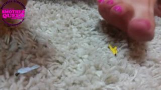 online xxx clip 36 Mistress Delicious – Porn Star Karla Lane And Delicious Play With Little People Toys on fetish porn the nylon leg fetish store-6