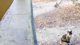 7359 Efina-Orange Shirt-9