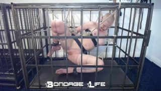 adult xxx clip 1 Bondage Life – Cage Time With Greyhound (Rope Edition) – 11/22/2021, nathalie vanadis bdsm porn on feet porn -3