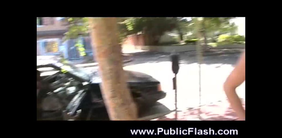 PublicFlash dae01 all (mp4)