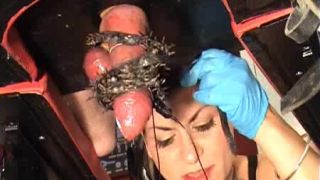 Mistress Dometria in Video - CBT Time Part 2 Sex Clip Vid...-7