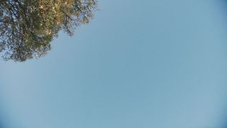 Adult Classics Night: Top Scenes Revealed - Must-See Clips-6