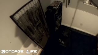 Cage Time With Greyhound (Owner Edition) - 03.21.22 Sex C...-1