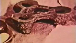 free adult video 12 Peepshow loops 392 1970s | retro clips | hardcore porn small tits hardcore-8