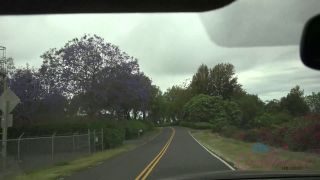 Lola Fae: 19 & Thrilling Night of Cock Pleasures-2