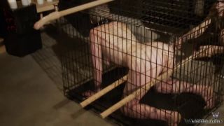 7555 Katcage Bdsm-1