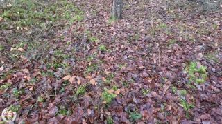 Aurbeaureal42980095 video 2022-01-18 14-01-6