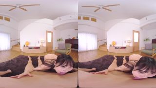 PRDVR-040 B - JAV VR Watch Online-1