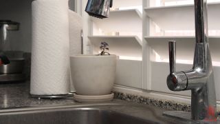 porn clip 13 classic femdom blowjob porn | Jesse Pony - Jesse Pony Is Fucked Into Submission [HD 1.92 GB] | blowjob-1