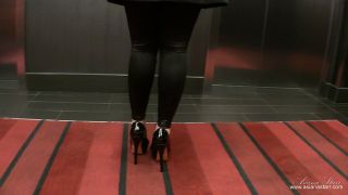 asianastarr 2023-02-13 Kinky Freemont Street Experience 2020 It was another kinky    bbbbba-2