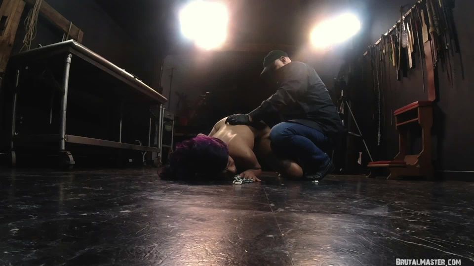 Cupcake SinClair - Downward Bleeding Dog Video Sex Downlo...