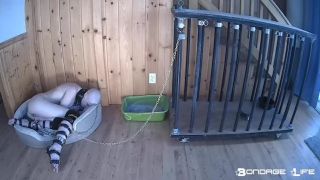 online adult clip 28 BondageLife – Cage Time For Greyhound (Extended Edition) - bdsm - bdsm porn desi bdsm-5