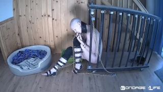 online adult clip 28 BondageLife – Cage Time For Greyhound (Extended Edition) - bdsm - bdsm porn desi bdsm-8