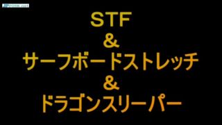 [waranlov.com] BSU-02 スペシャルファイターの【受】プロレス技コレクション2 | giga heroine, cosplay, コスプレ, superheroine, 女子プロレス, wrestling-1
