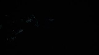 Nikoletta Joy Double Fisting My Pussy - Premium User Requ...-9