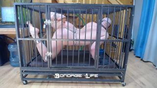 xxx video clip 36 femdom foot humiliation bdsm porn | Bondage Life – Cage Time With Greyhound | rachel greyhound-1
