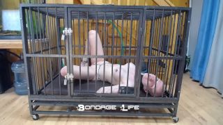 xxx video clip 36 femdom foot humiliation bdsm porn | Bondage Life – Cage Time With Greyhound | rachel greyhound-7