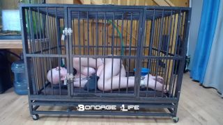 xxx video clip 36 femdom foot humiliation bdsm porn | Bondage Life – Cage Time With Greyhound | rachel greyhound-9