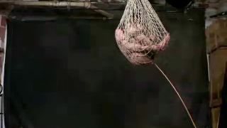 2002.08.13 - 731's Test (731, Angel) Video Sex Download Porn-5