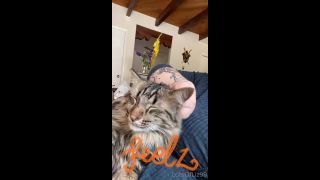 adult video clip 33 Onlyfans - Belthaneb - He demanded to be pet and who am I to deny him - 30-07-2021 - hardcore - hardcore porn free hardcore videos-1