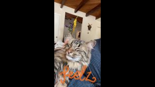 adult video clip 33 Onlyfans - Belthaneb - He demanded to be pet and who am I to deny him - 30-07-2021 - hardcore - hardcore porn free hardcore videos-2