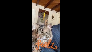 adult video clip 33 Onlyfans - Belthaneb - He demanded to be pet and who am I to deny him - 30-07-2021 - hardcore - hardcore porn free hardcore videos-3