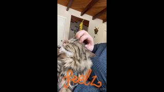 adult video clip 33 Onlyfans - Belthaneb - He demanded to be pet and who am I to deny him - 30-07-2021 - hardcore - hardcore porn free hardcore videos-4