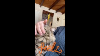 adult video clip 33 Onlyfans - Belthaneb - He demanded to be pet and who am I to deny him - 30-07-2021 - hardcore - hardcore porn free hardcore videos-6