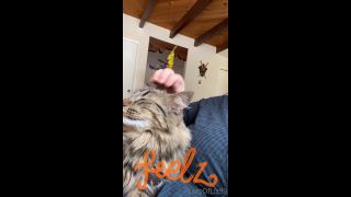 adult video clip 33 Onlyfans - Belthaneb - He demanded to be pet and who am I to deny him - 30-07-2021 - hardcore - hardcore porn free hardcore videos-7