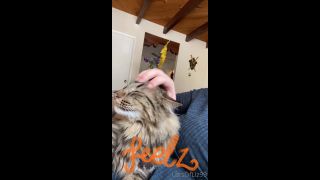 adult video clip 33 Onlyfans - Belthaneb - He demanded to be pet and who am I to deny him - 30-07-2021 - hardcore - hardcore porn free hardcore videos-8