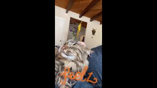 adult video clip 33 Onlyfans - Belthaneb - He demanded to be pet and who am I to deny him - 30-07-2021 - hardcore - hardcore porn free hardcore videos-9