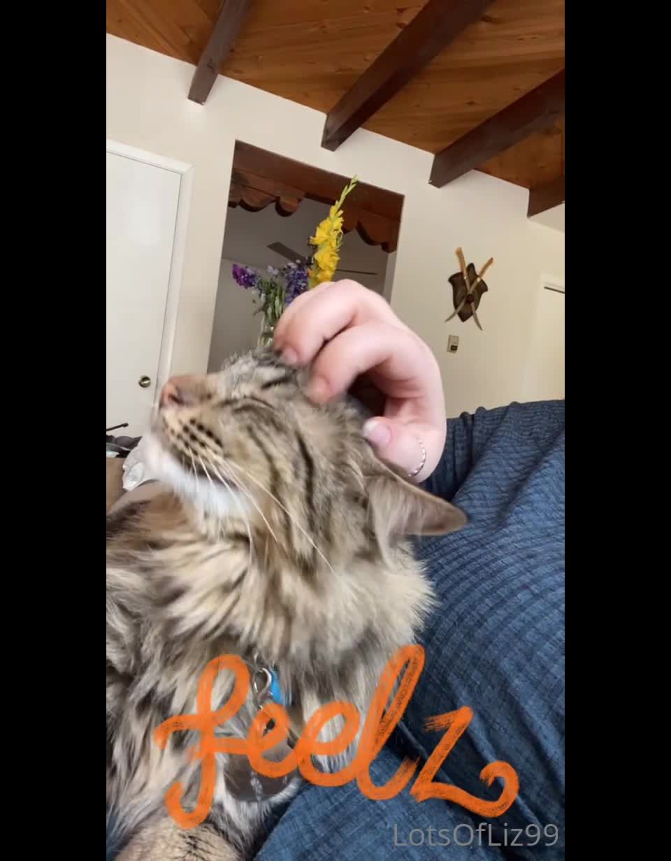 adult video clip 33 Onlyfans - Belthaneb - He demanded to be pet and who am I to deny him - 30-07-2021 - hardcore - hardcore porn free hardcore videos