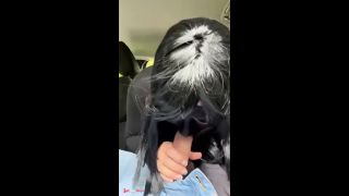 In the car outside she sucks and swallows-1
