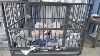 Nap Time With Greyhound - 08.25.21 Sex Clip Video Porn D...-1