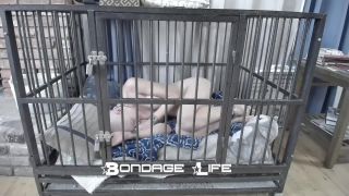 Nap Time With Greyhound - 08.25.21 Sex Clip Video Porn D...-2