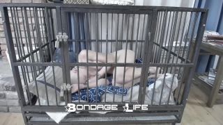 Nap Time With Greyhound - 08.25.21 Sex Clip Video Porn D...-3