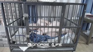 Nap Time With Greyhound - 08.25.21 Sex Clip Video Porn D...-7