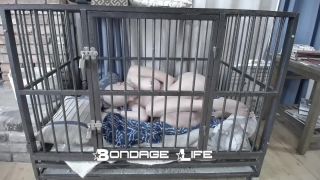 Nap Time With Greyhound - 08.25.21 Sex Clip Video Porn D...-9